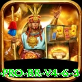 55ii Pro BR v4.6.3
