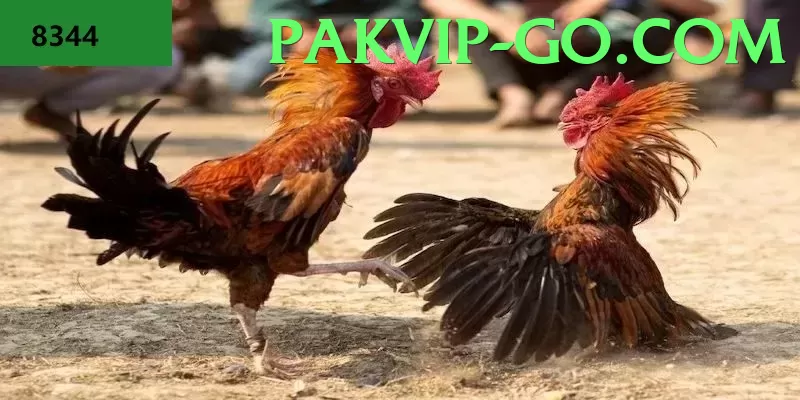 Trường Đấu Live Games Chuyên Nghiệp - SSL secured connection icon