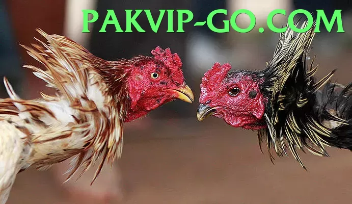 Live Games - pakvip - Crescent and star symbolism